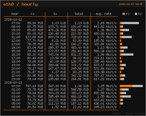 vnstat hourly graph